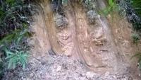 post-120824-0-91978700-1389927480_thumb.