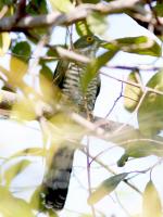 post-128422-0-55152700-1389079072_thumb.