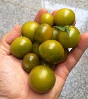 post-14625-0-53021300-1390115180_thumb.j