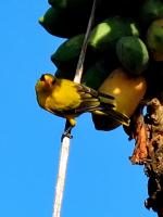 post-146250-0-50546000-1389150598_thumb.