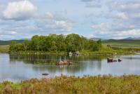 post-153732-0-05367700-1389712646_thumb.