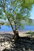 post-153732-0-21253500-1389712687_thumb.