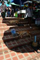 post-153732-0-24402300-1389681965_thumb.