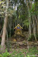 post-153732-0-47218700-1389766329_thumb.