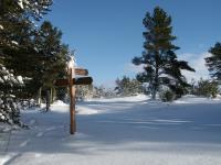 post-153732-0-52589200-1389712728_thumb.