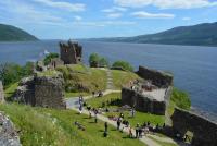 post-153732-0-55636100-1389712667_thumb.