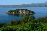 post-153732-0-59649500-1389712709_thumb.