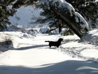 post-153732-0-68238900-1389712896_thumb.