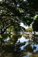 post-153732-0-73459300-1389795414_thumb.