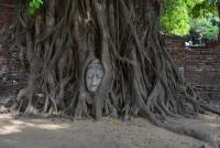 post-153732-0-76073000-1389676099_thumb.