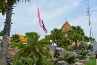 post-153732-0-82723300-1389676010_thumb.