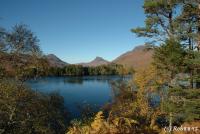 post-153732-0-86797700-1390544876_thumb.