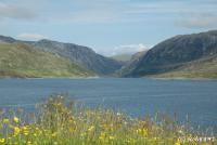 post-153732-0-87409700-1390544873_thumb.