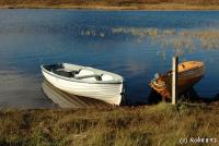 post-153732-0-87594600-1390544868_thumb.