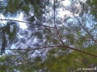 post-153732-0-93048100-1389795969_thumb.