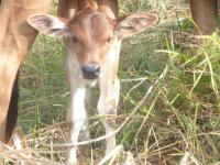 post-156308-0-36887500-1388676786_thumb.