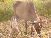 post-156308-0-52593100-1388676507_thumb.