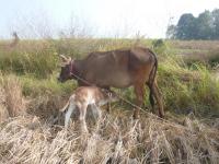 post-156308-0-61363200-1388676550_thumb.