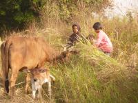 post-156308-0-76843800-1388676736_thumb.