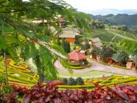 post-162523-0-14570800-1388967619_thumb.