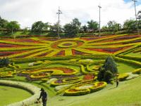 post-162523-0-61791200-1388967494_thumb.