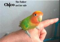 post-169122-0-64490000-1390014765_thumb.