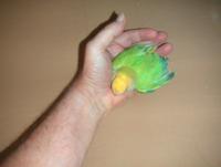 post-169122-0-88282400-1390014763_thumb.
