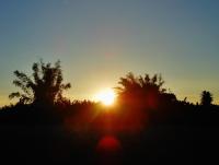 post-185776-0-00790600-1390386263_thumb.