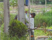 post-185776-0-22680400-1389360847_thumb.