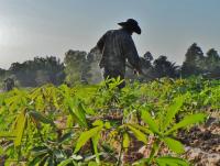 post-185776-0-23352000-1390049584_thumb.