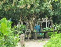 post-185776-0-38660700-1390214921_thumb.