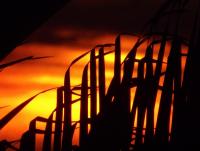 post-185776-0-88243200-1389350807_thumb.