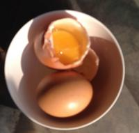 post-193308-0-31834800-1390631160_thumb.