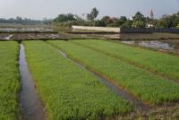 post-25023-0-49744600-1390740948_thumb.j