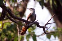 post-25665-0-02135800-1391088449_thumb.j