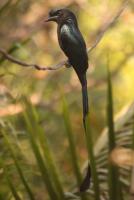 post-25665-0-45527100-1390918892_thumb.j