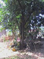 post-37242-0-05045200-1391027031_thumb.j