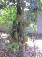 post-37242-0-12061200-1391026975_thumb.j