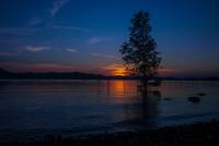 post-40226-0-08318800-1389370708_thumb.j