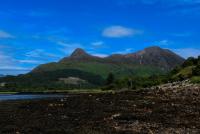 post-40226-0-08507800-1389363300_thumb.j