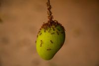 post-40226-0-10637500-1390215806_thumb.j