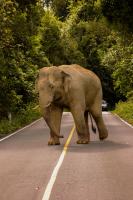 post-40226-0-14473800-1389891567_thumb.j