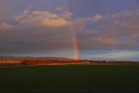 post-40226-0-16872100-1389362842_thumb.j