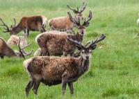 post-40226-0-19220100-1389363039_thumb.j