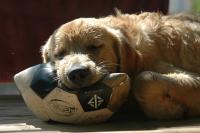 post-40226-0-33452300-1389721888_thumb.j