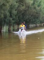 post-40226-0-39529600-1389375543_thumb.j