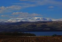 post-40226-0-40333700-1389362829_thumb.j