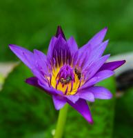 post-40226-0-42919900-1389368885_thumb.j