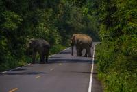 post-40226-0-46583800-1389891555_thumb.j