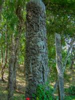 post-40226-0-51883000-1390234348_thumb.j